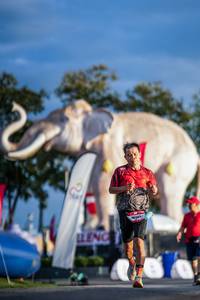 BIB: 
                            <button type="button" onclick="openModal(26541350)" class="btn btn-primary btn-sm float-right btn-popup" data-toggle="modal" data-target=".modal-high-quality">
                        <i class="fas fa-shopping-cart"></i> Add to Cart
                    </button>
                                            <button type="button" onclick="isThisMe(26541350, true)" class="btn btn-success btn-sm float-right btn-popup btn-isme hidden" data-toggle="tooltip" data-placement="bottom" title="นี่คือรูปของคุณใช่ไหม คลิกที่นี่เพื่อเอาเข้าอัลบั้ม">
                        <i class="fas fa-plus"></i> Add to album
                    </button>
                    <button type="button" onclick="isThisMe(26541350, false)" class="btn btn-warning btn-sm float-right btn-popup btn-isnotme hidden">
                        <i class="fas fa-ban"></i> Remove from album
                    </button>